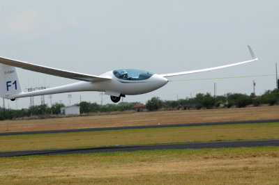 82gliders 054gliders1.jpg