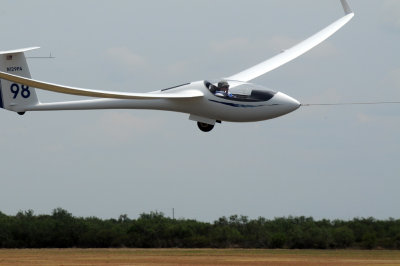 82gliders 075gliders3.jpg
