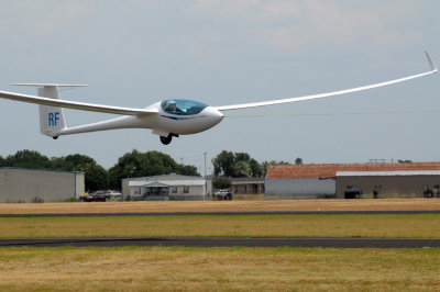 82gliders 101gliders5.jpg