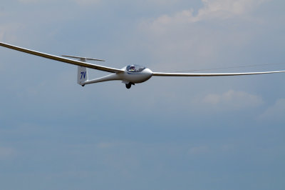 82gliders 156gliders10.jpg