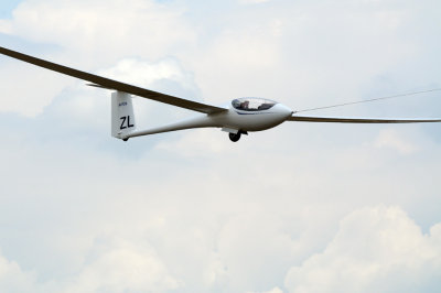 82gliders 233gliders16.jpg
