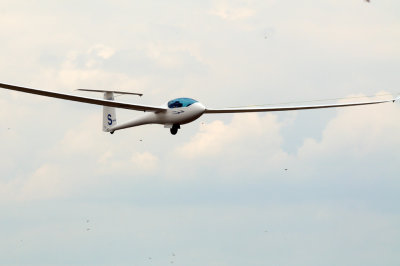 82gliders 261gliders19.jpg