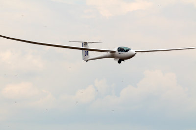 82gliders 277gliders20.jpg