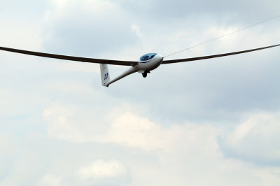 82gliders 324gliders24.jpg