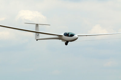 82gliders 341gliders25.jpg