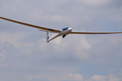 82gliders 403gliders31.jpg