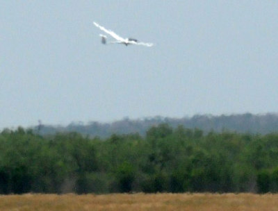 82gliders 462crash.jpg