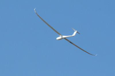 83sailplanes 005sailplanes.jpg