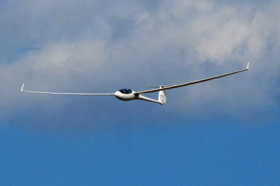 83sailplanes 038sailplanes.jpg