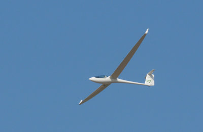 83sailplanes 048sailplanes.jpg
