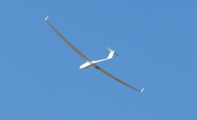 83sailplanes 061sailplanes.jpg