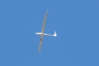83sailplanes 092sailplanes.jpg