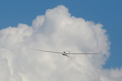 83sailplanes 102sailplanes.jpg