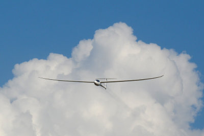83sailplanes 104sailplanes.jpg