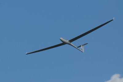 83sailplanes 135sailplanes.jpg