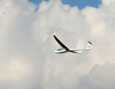 83sailplanes 183sailplanes.jpg