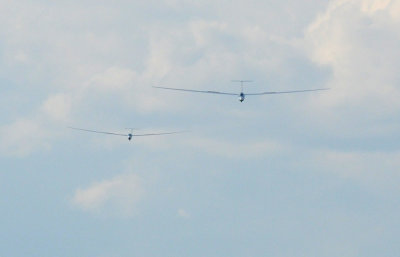 83sailplanes 240sailplanes.jpg