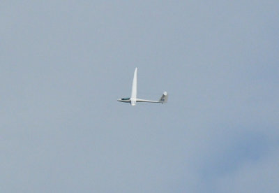85sailplanes 027sailplanes.jpg