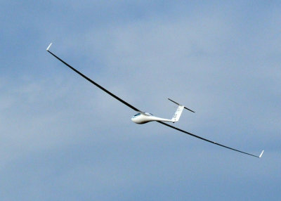 85sailplanes 085sailplanes.jpg