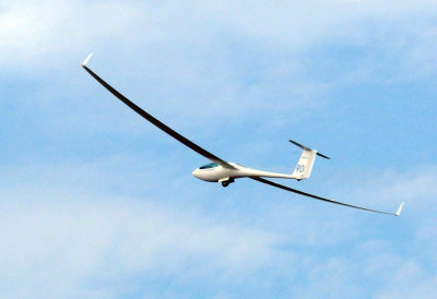 85sailplanes 113sailplanes.jpg