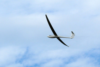85sailplanes 120sailplanes.jpg