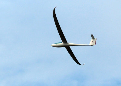 85sailplanes 150sailplanes.jpg