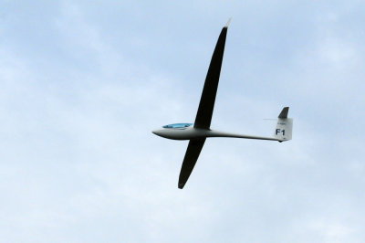 85sailplanes 163sailplanes.jpg
