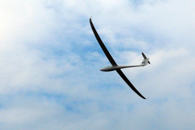 85sailplanes 274sailplanes2.jpg