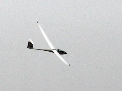 88ssailplanes2 015sailplanes2.jpg