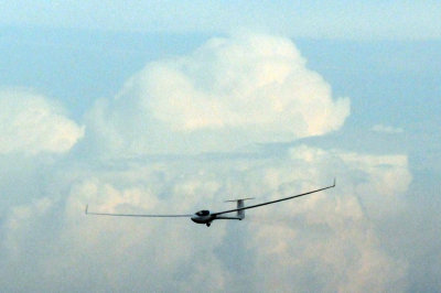 88ssailplanes2 154sailplanes2.jpg