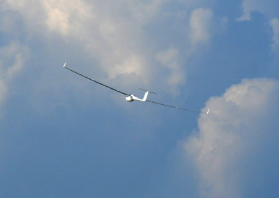 89sailplanes 013sailplanes.jpg