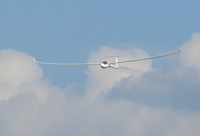 89sailplanes 053sailplanes.jpg