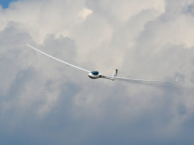 89sailplanes 069sailplanes.jpg
