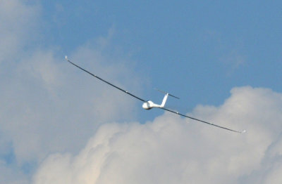 89sailplanes 102sailplanes.jpg