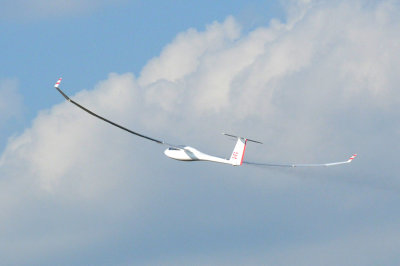 89sailplanes 179sailplanes.jpg