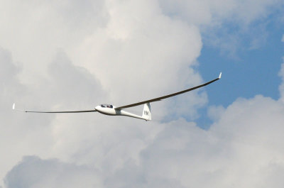 89sailplanes 310sailplanes.jpg