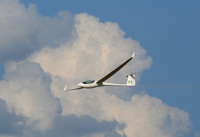 89sailplanes 347sailplanes.jpg
