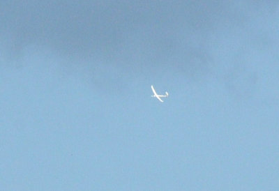 810lastdayawards 162sailplanes4.jpg