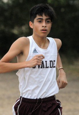 826cxc 195cxc.jpg
