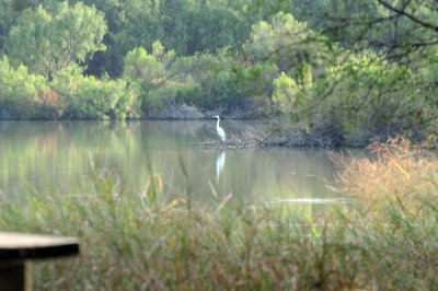 94cooks 002greategret.jpg