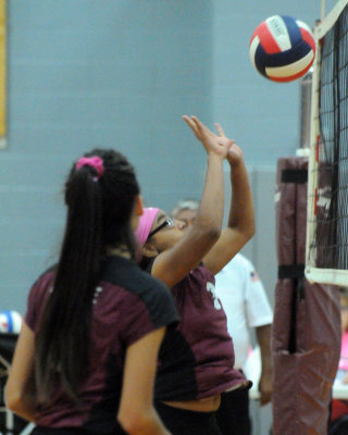 1010volleyballpink 037fre9.jpg