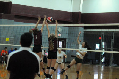 1010volleyballpink 143fre95.jpg
