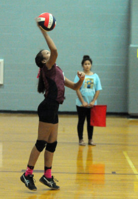 1010volleyballpink 158fre95.jpg