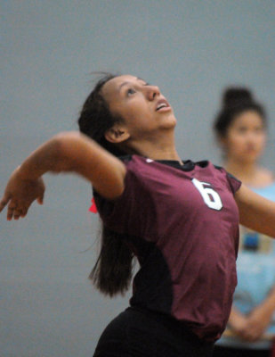 1010volleyballpink 171fre96.jpg
