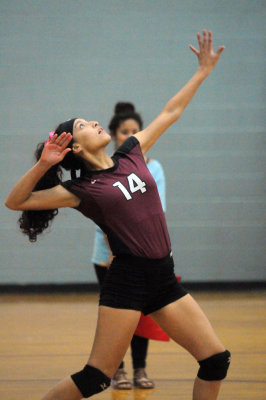 1010volleyballpink 218fre97.jpg