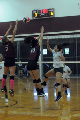 1010volleyballpink 161fre95.jpg