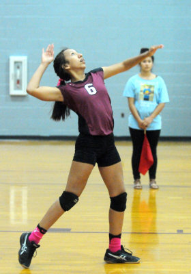 1010volleyballpink 168fre95.jpg