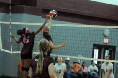 1010volleyballpink 201fre96.jpg
