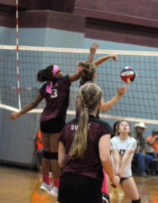 1010volleyballpink 202fre96.jpg