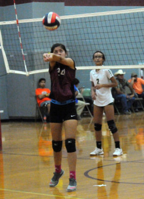 1010volleyballpink 207fre97.jpg